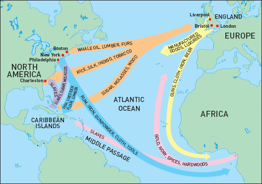 middle passage infographic for kids